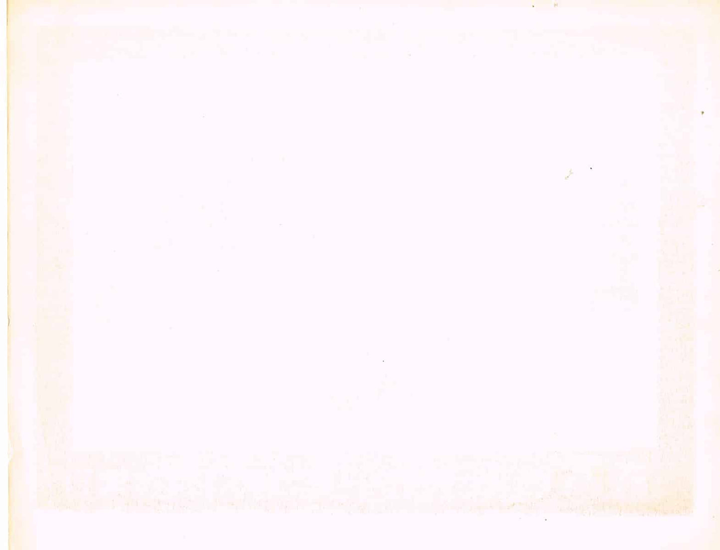 The Enforcer (1951) - Original U.S. Lobby Card (11" x 14")