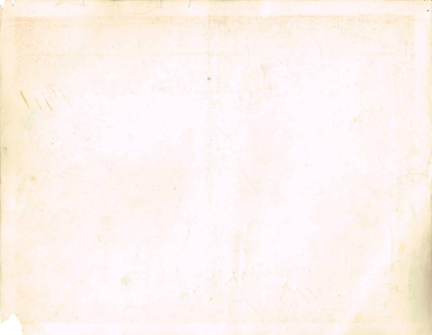 Fallen Angel (1945) - Original U.S. Lobby Card (11" x 14")