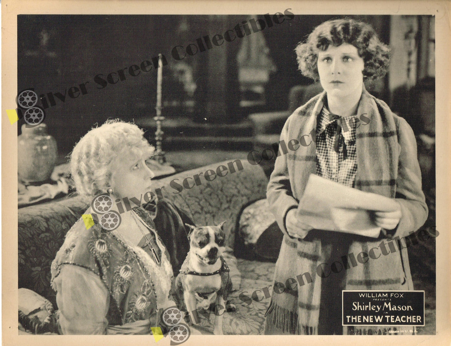 The New Teacher (1922) - Shirley Mason with a cute puppy - Original U.S. Lobby Card (11" x 14")