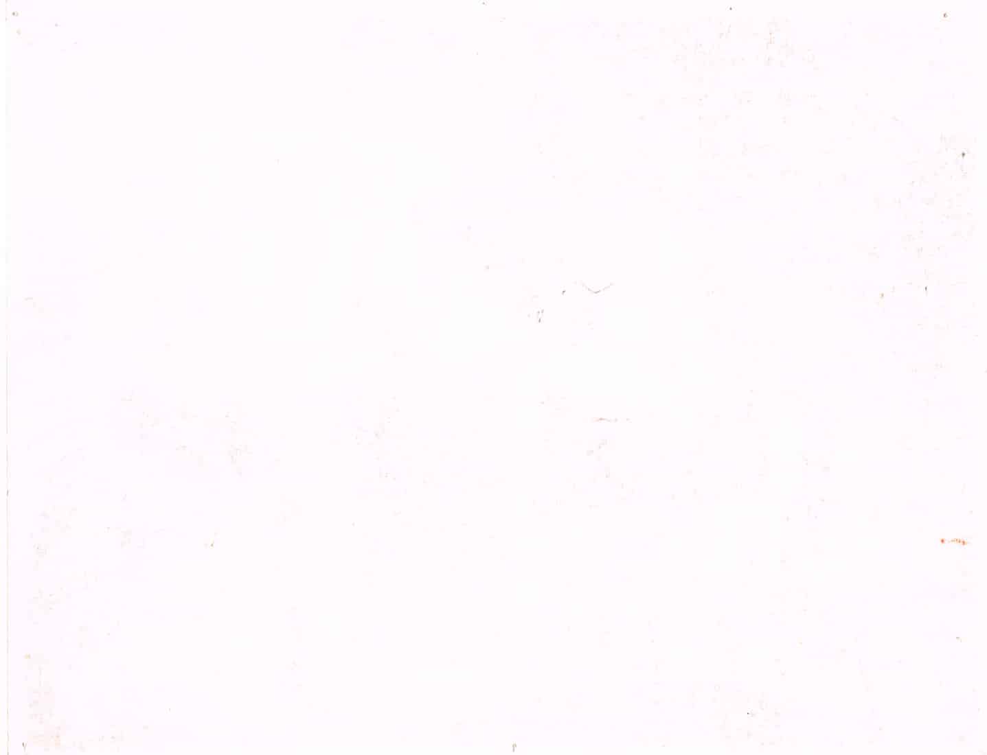 The Greatest Show on Earth (1952) - Original U.S. Lobby Card SET of 8(11" x 14")