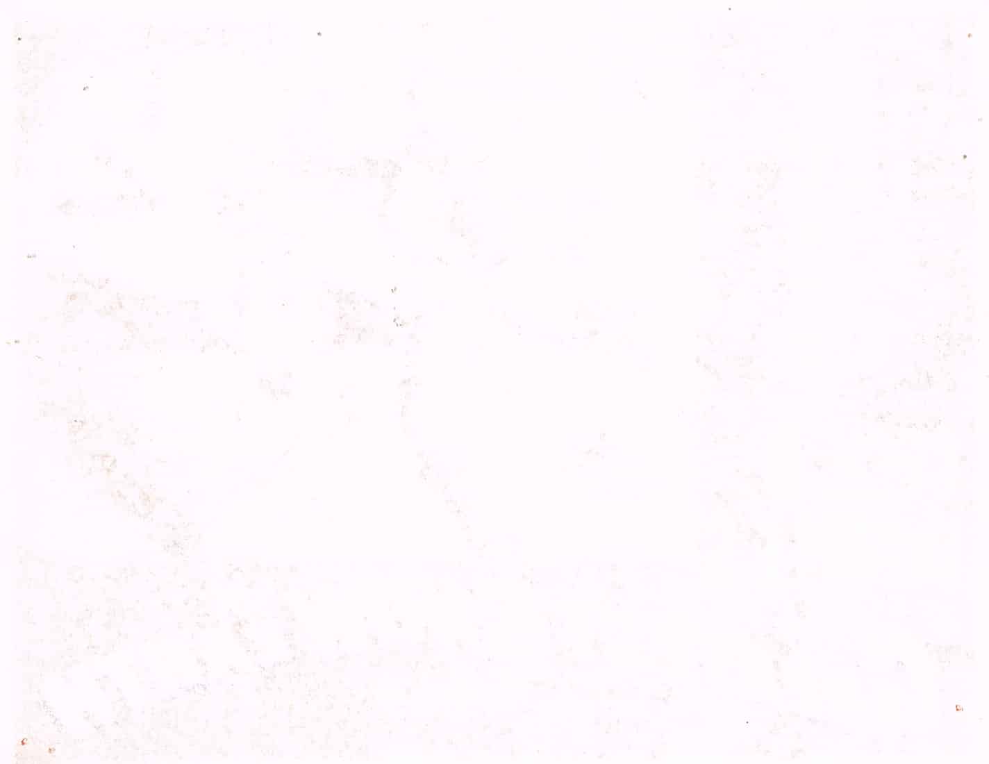 The Greatest Show on Earth (1952) - Original U.S. Lobby Card SET of 8(11" x 14")