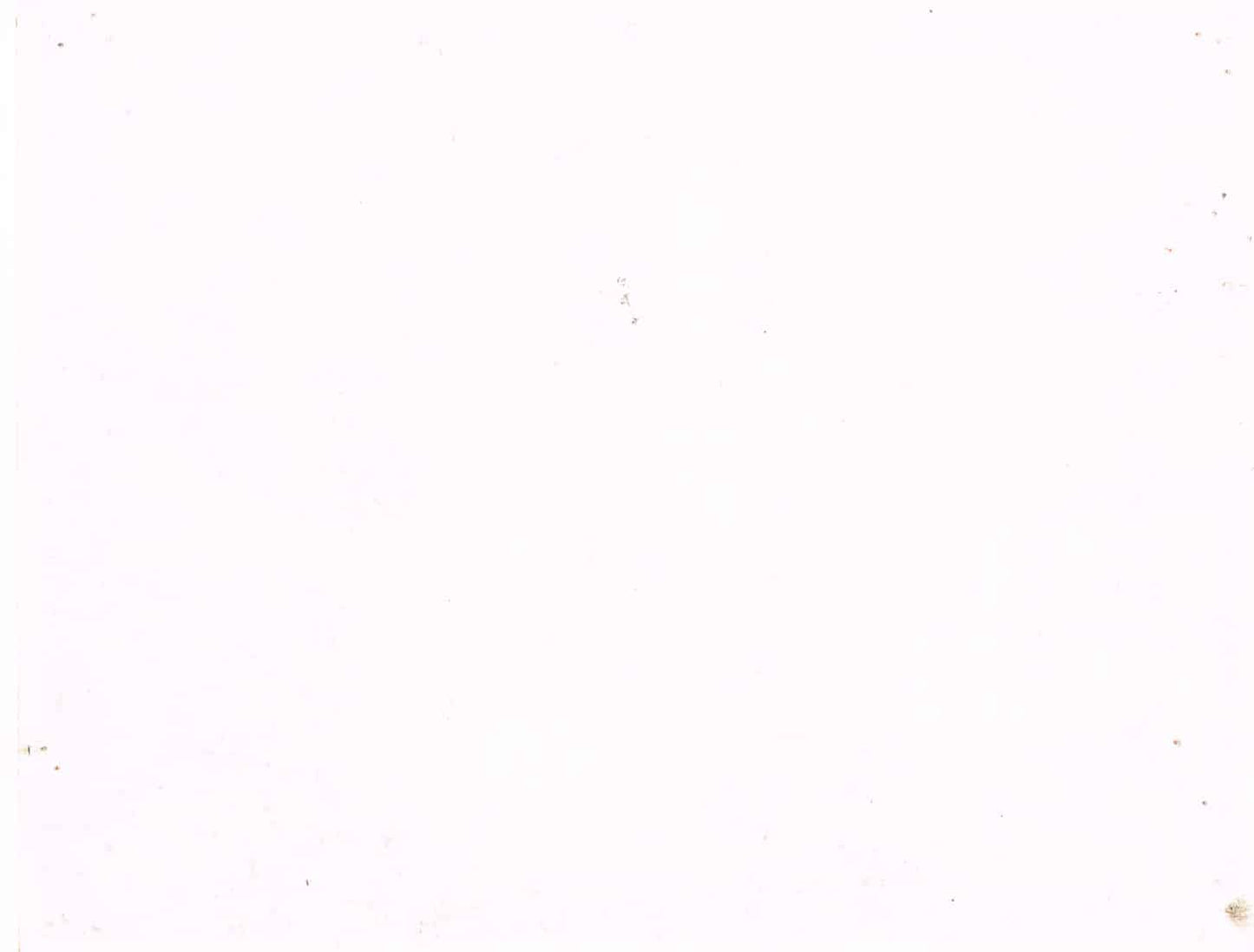 The Greatest Show on Earth (1952) - Original U.S. Lobby Card SET of 8(11" x 14")