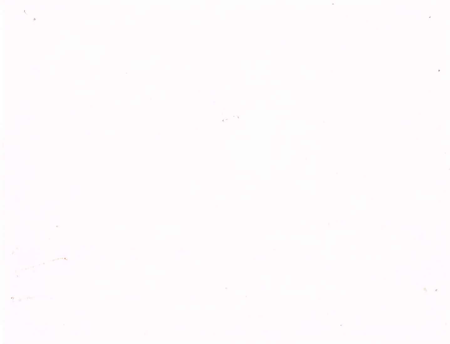 The Greatest Show on Earth (1952) - Original U.S. Lobby Card SET of 8(11" x 14")