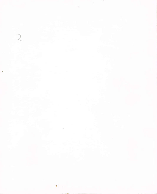 One Million Years B.C. (1966) - Vintage B&W Movie Still/Photo (8" x 10")