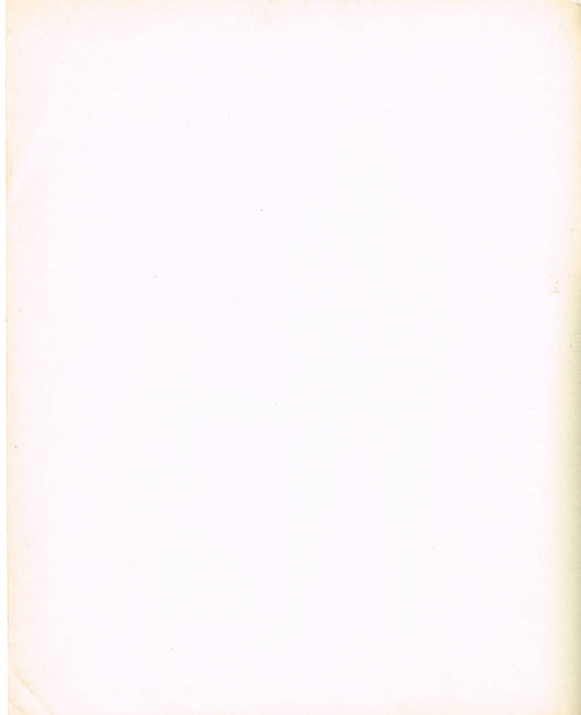 The Lost World (1925) - Vintage Photo (8" x 10")