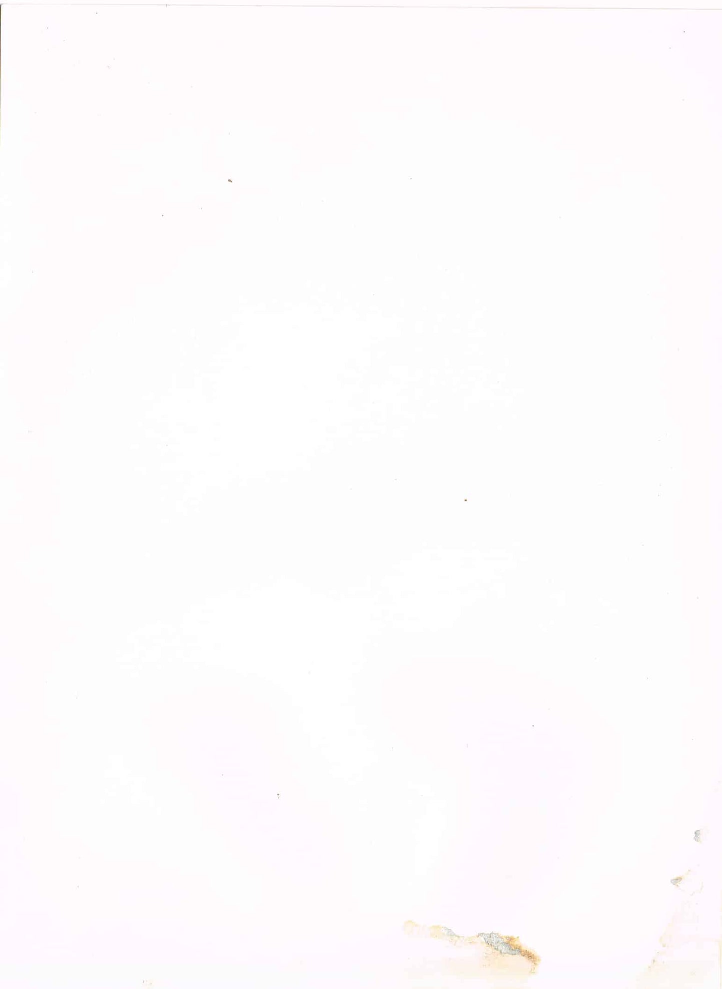 The Beatles / John, Paul, George & Ringo - Color photos (7.75" x 10.75")