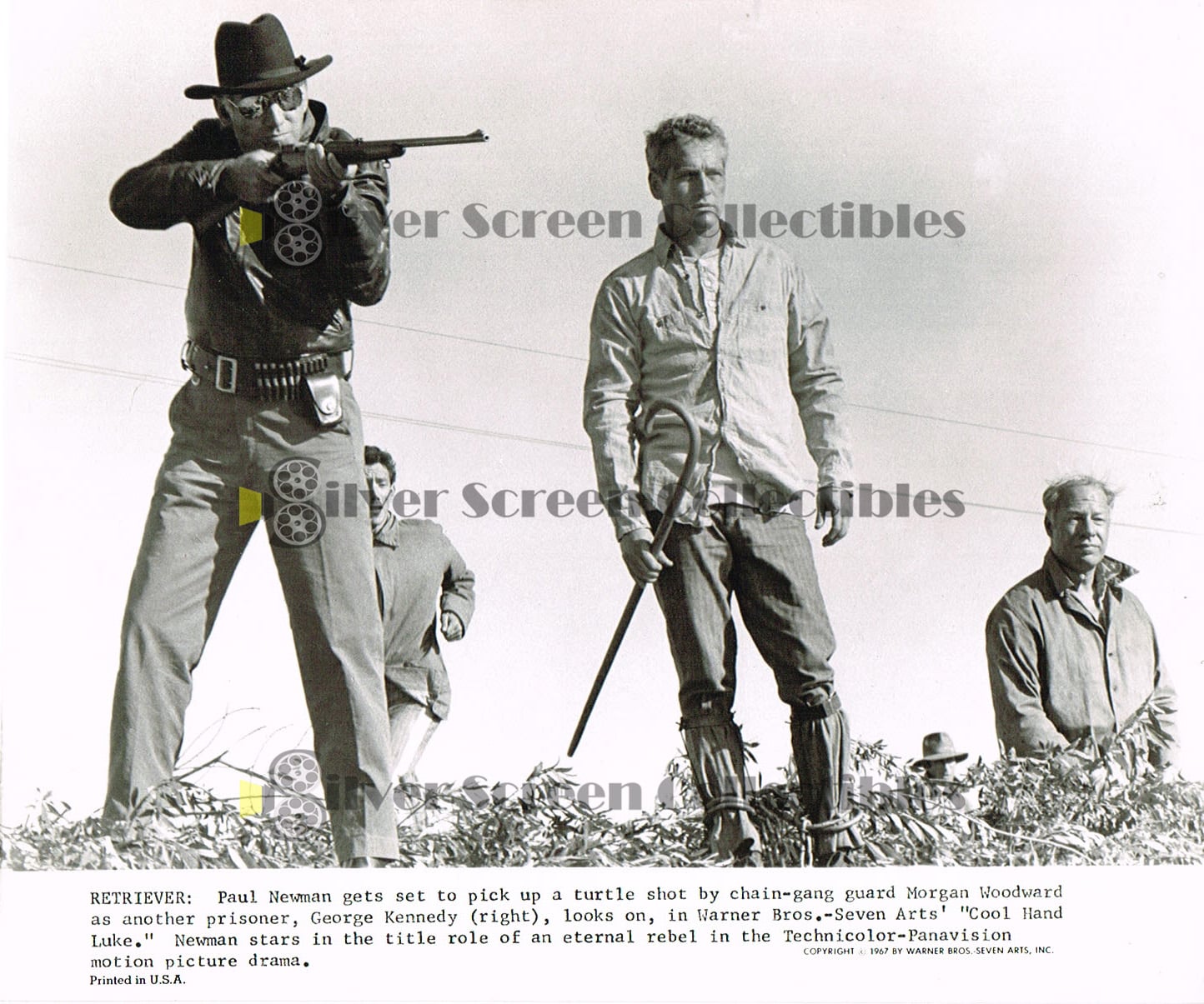 Cool Hand Luke (1967) / Story In Pictures 9 Photo set / Paul Newman - Vintage B&W Movie Stills/Photos (8" x 10")