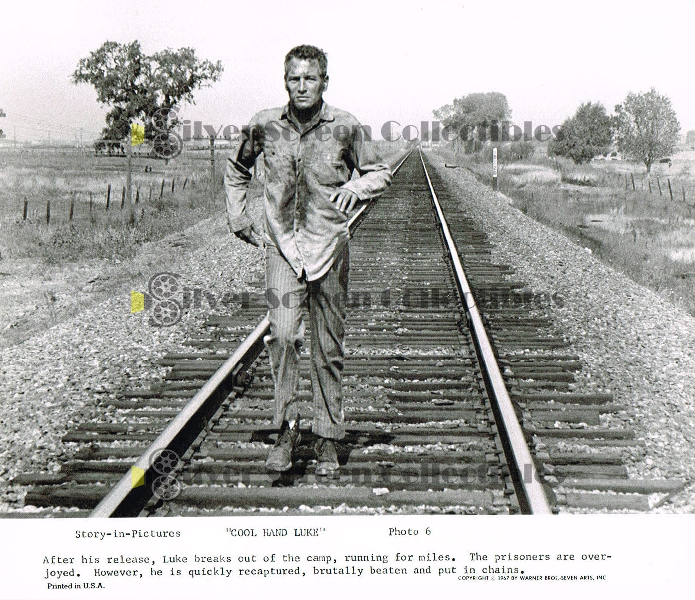 Cool Hand Luke (1967) / Story In Pictures 9 Photo set / Paul Newman - Vintage B&W Movie Stills/Photos (8" x 10")