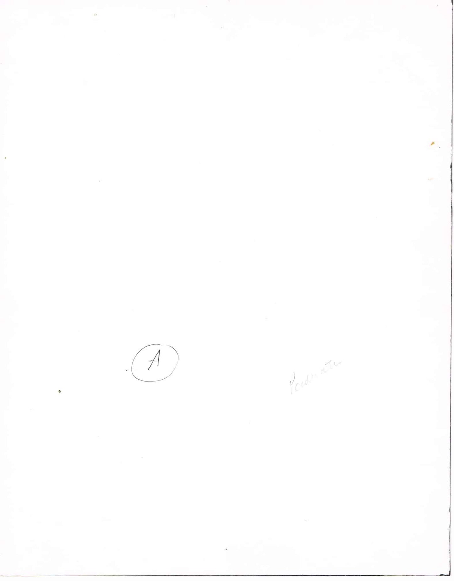 Lana Turner - Vintage Oversize B&W Movie Still/Photo (11" x 14")