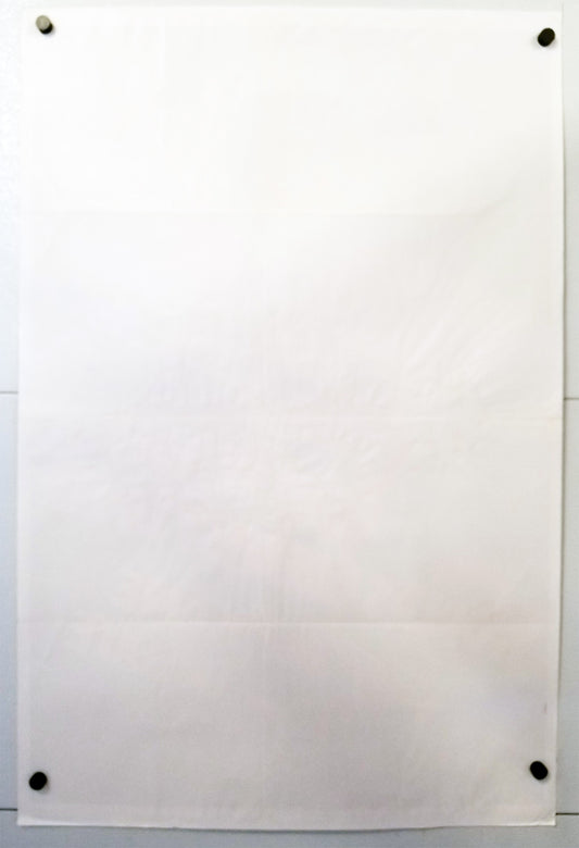 The World's Greatest Lover - Original U.S. One Sheet Movie Poster (27" x 41")