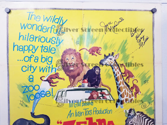 Zebra in the Kitchen (1965) - Signed Original U.S. One Sheet (27" x 41")