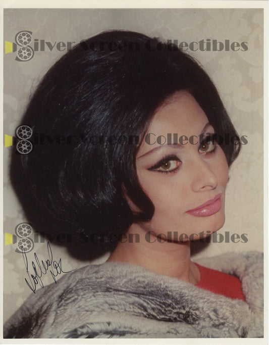 Sophia Loren - Signed 8" x 10" Photo