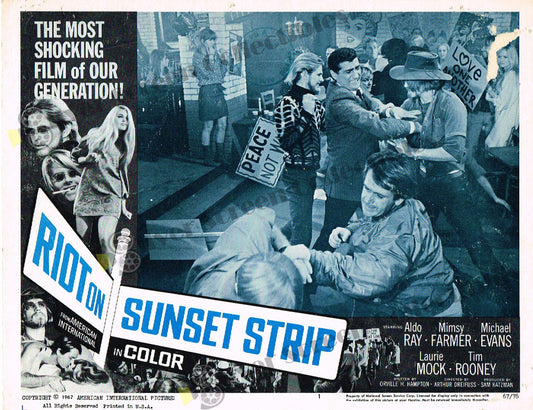 Riot on Sunset Strip (1967) - Original U.S. Lobby Card (11" x 14")