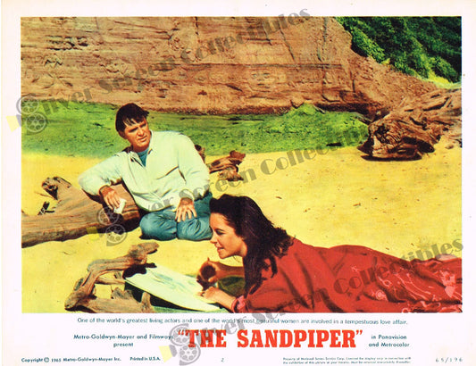 The Sandpiper (1965) - Original U.S. Lobby Card (11" x 14")