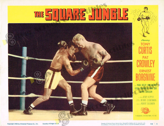 The Square Jungle (1955) - Original U.S. Lobby Card (11" x 14")