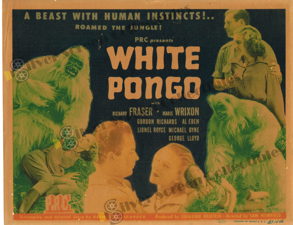 White Pongo (1945) - Original U.S. Lobby Card (11" x 14")