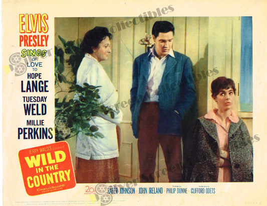 Wild in the Country (1961) - Original U.S. Lobby Card (11" x 14")