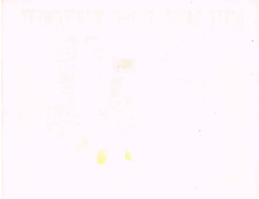 June Bride (1948) - Card#: 6 - Original U.S. Lobby Card (11" x 14")