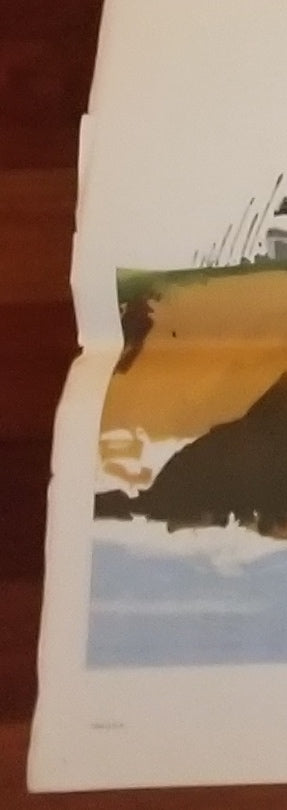 Bedknobs and Broomsticks (1971) - Original U.S. Tri-Folded Six Sheet Movie Poster (77" x 77")